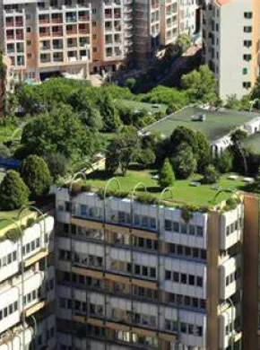 Plan Especial de Azoteas Verdes Ayuntamiento de Madrid