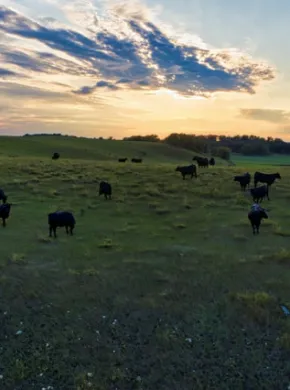 AUCATEL, primera Entidad acreditada para Inspección Ambiental en Castilla y León