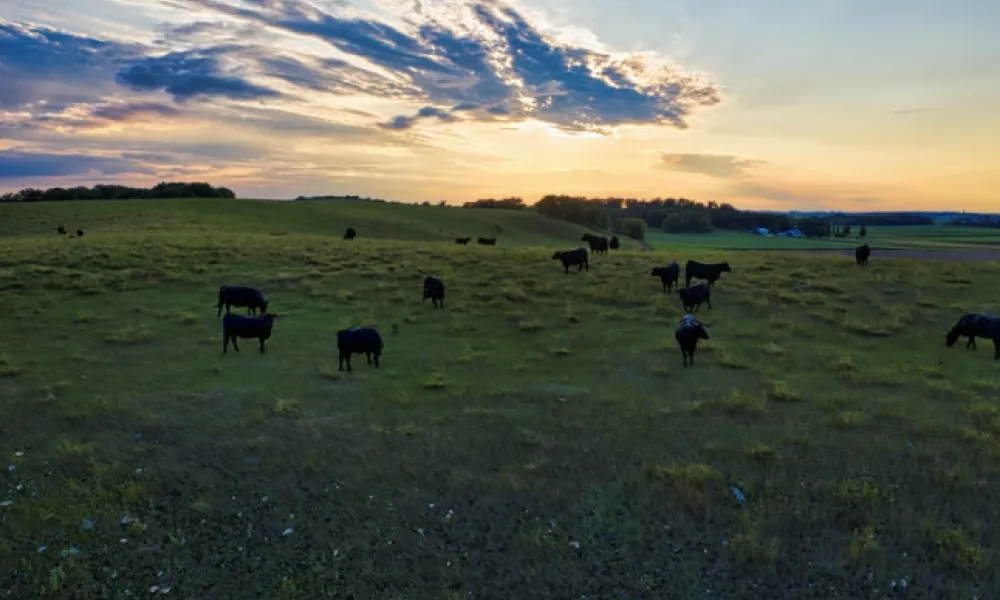 AUCATEL, primera Entidad acreditada para Inspección Ambiental en Castilla y León